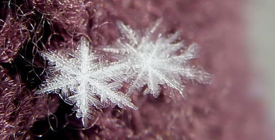Macro-opname van kleine sneeuwsterren met een diameter van 1 mm. Ze vielen gewoon uit een staalblauwe lucht.