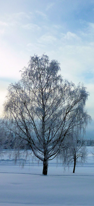 Heerlijke winterlandschappen.